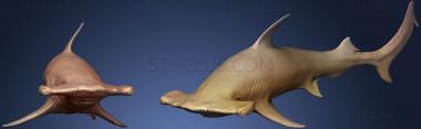 3D модель Акула-молот (STL)